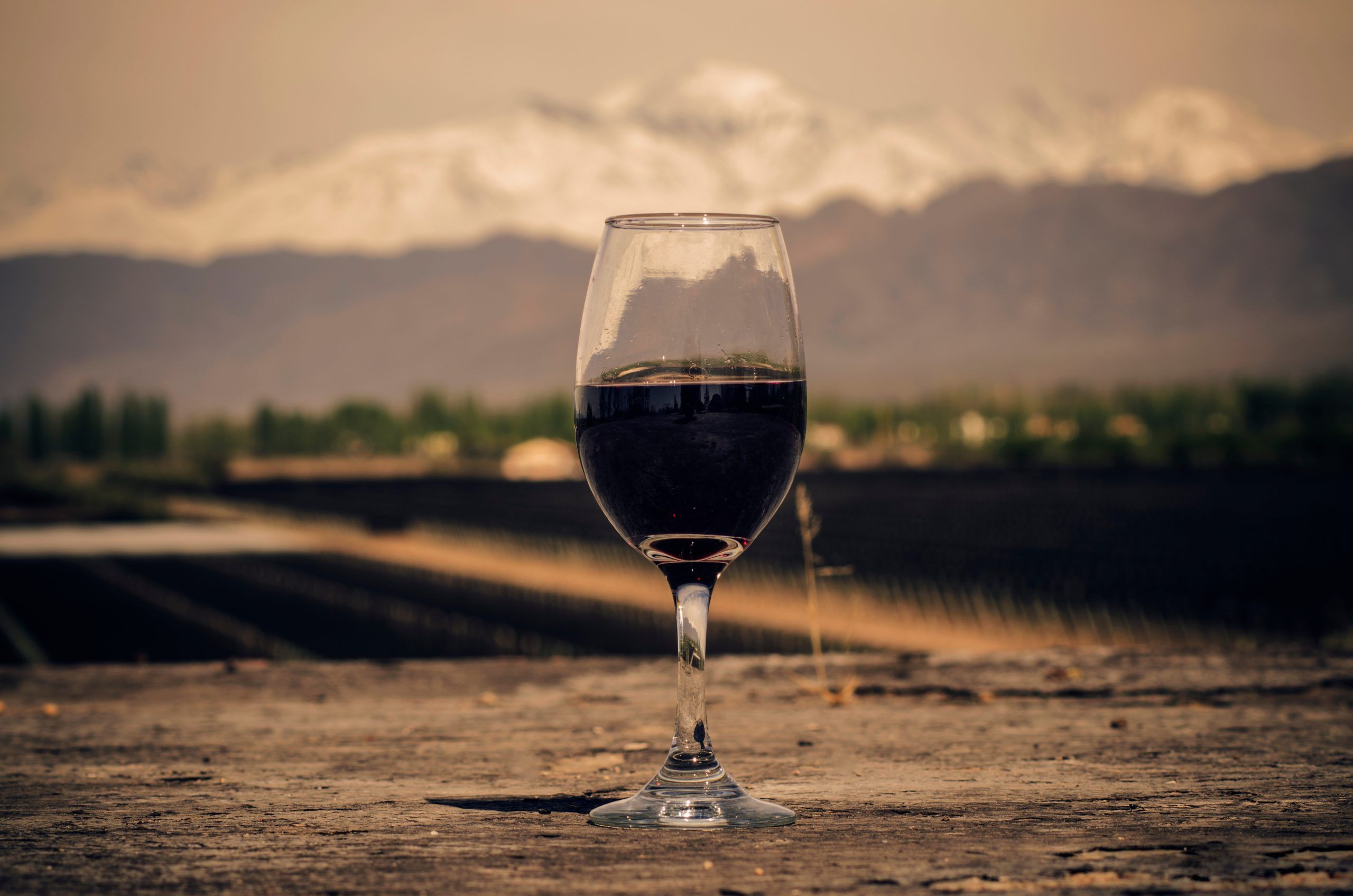 Extreme Altitude Wines