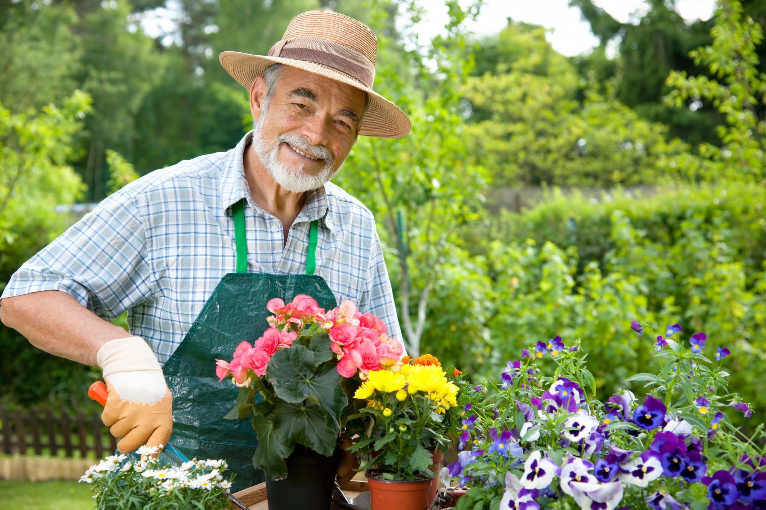 Gardening – The Longevity Hobby