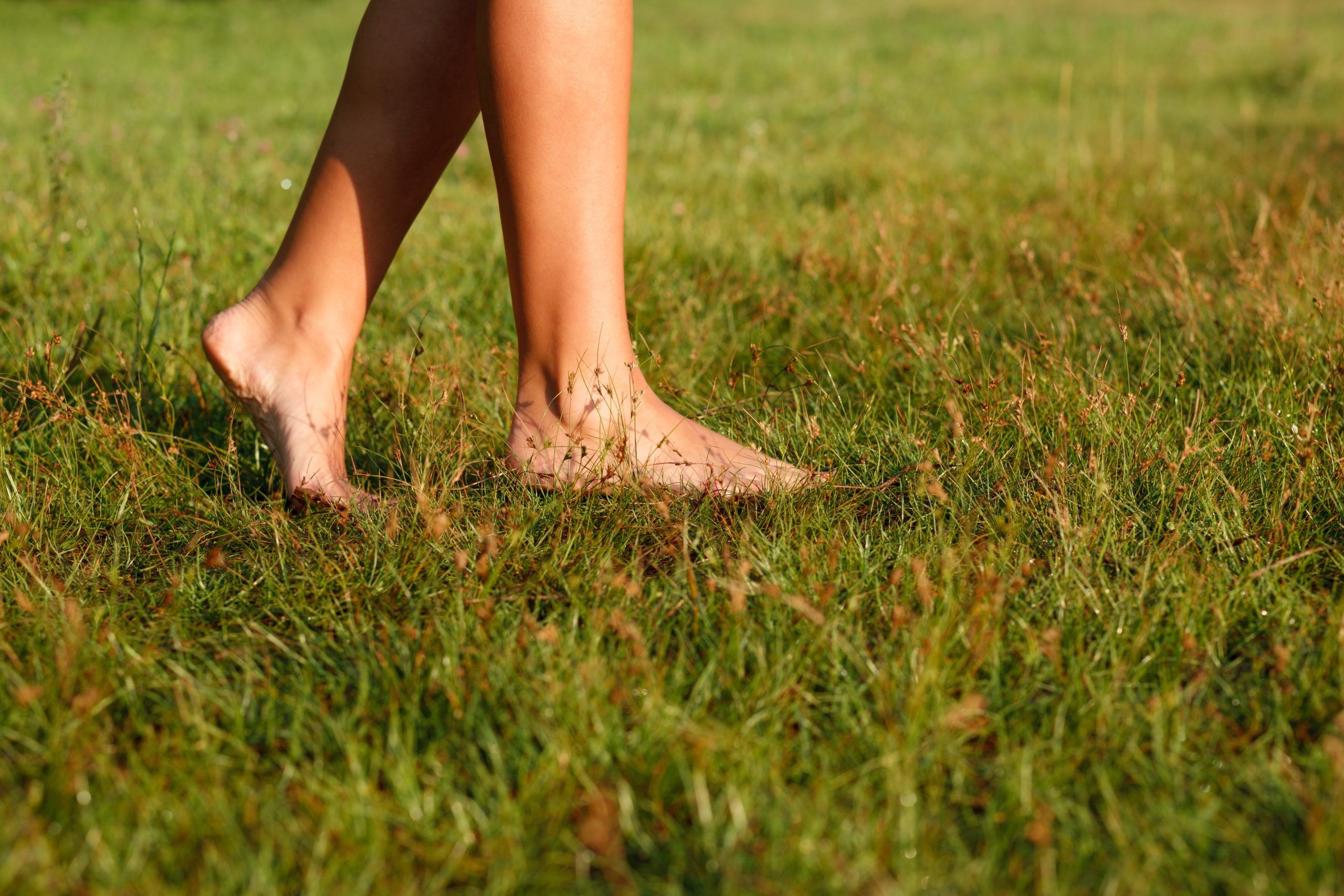 The Science Behind Earthing