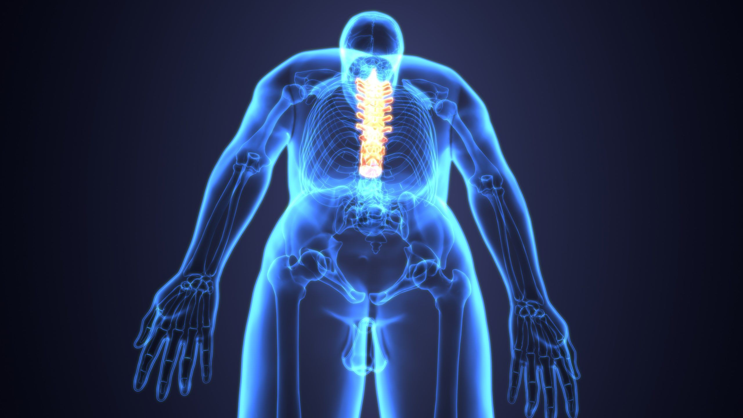 Immune System Science Simplified