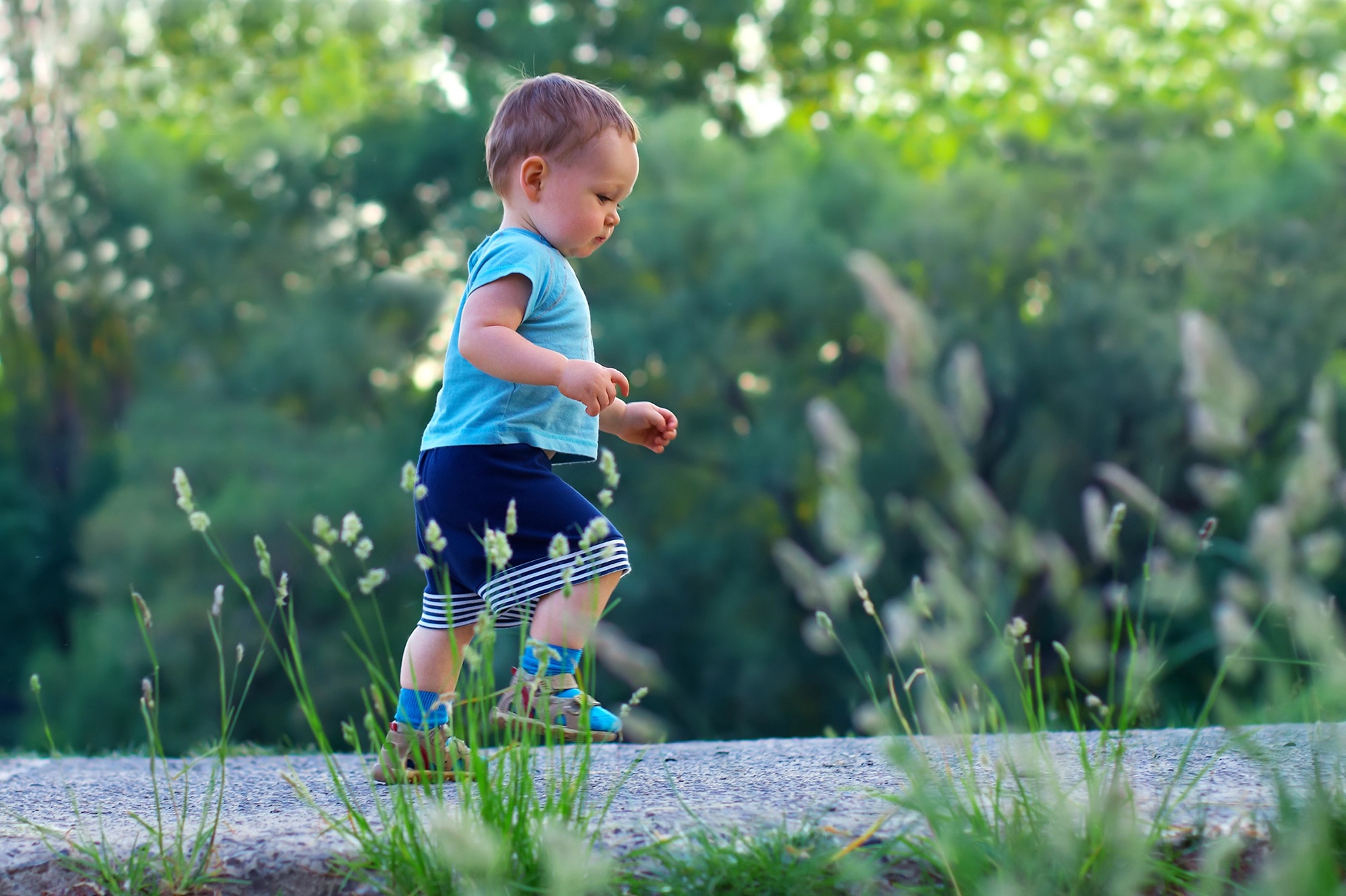The Role of Chiropractic in Toddler Milestones and Alignment